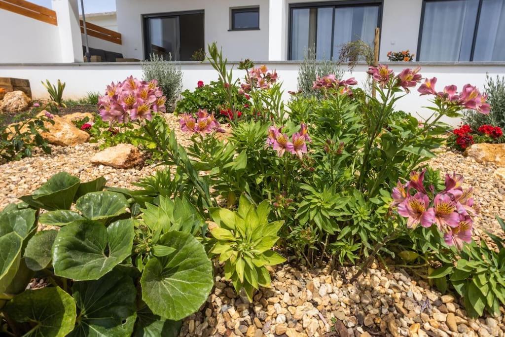 Casa Monte Salema Vila do Bispo Ngoại thất bức ảnh